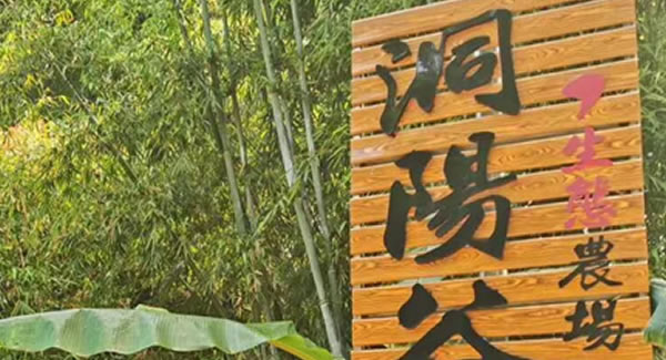 廣有合頁(yè)2019踏春拓展--經(jīng)歷中成長(zhǎng)，成長(zhǎng)中經(jīng)歷