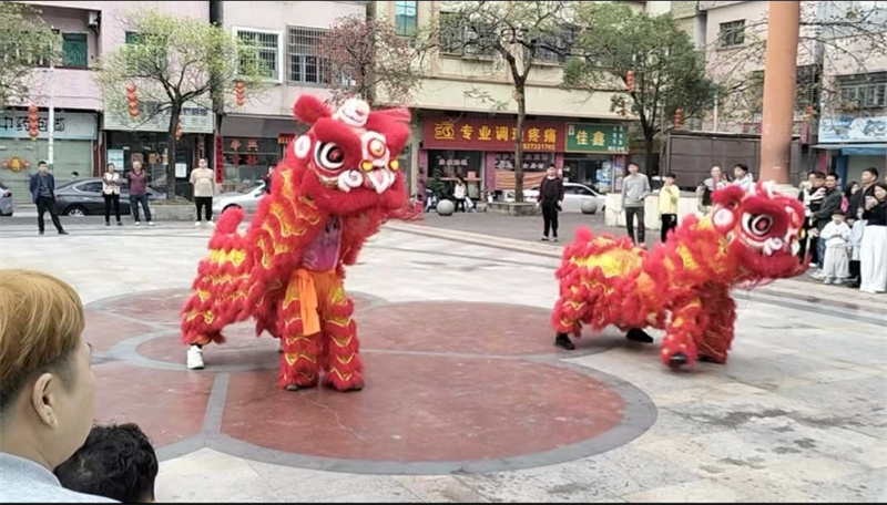 9廣東惠州的年，是醒獅起舞，是祥瑞臨門.jpg